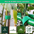 Fixations Ajustables pour Plantes – Soutien et Protection Optimale pour Croissance des Plantes