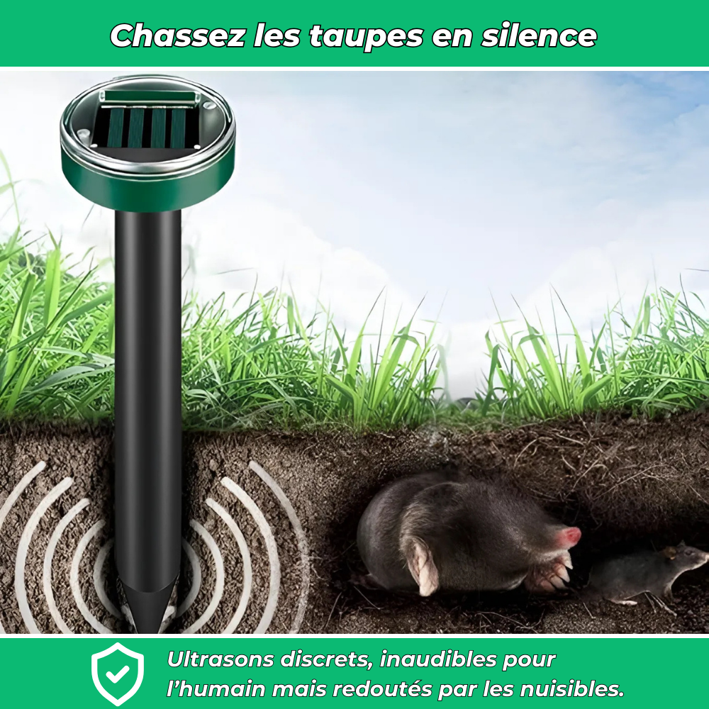 Répulsif solaire ultrasonique anti-taupes (Lot de 2)