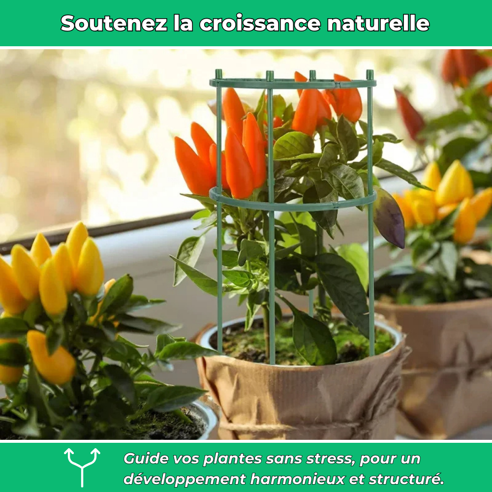 Anneaux de Support Flexibles pour Plantes – Support Ajustable pour Croissance des Plantes