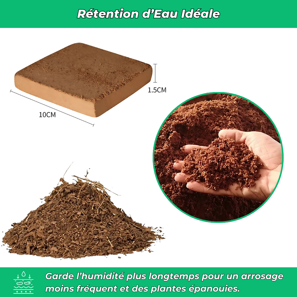 BioTerra Engrais Naturel Comprimé à Base de Coco et Neem – Fertilisation Écologique pour Plantes et Jardin